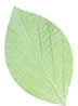 gݍ݋@Jc[